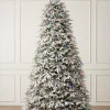 New BH Frosted Fraser Fir® Trees 7 - 7.5 Feet|Under 6 Feet