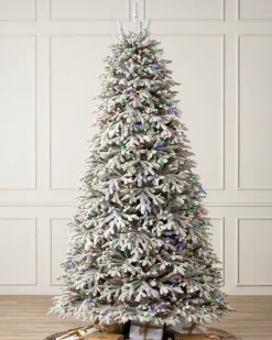 New BH Frosted Fraser Fir® Trees 7 - 7.5 Feet|Under 6 Feet