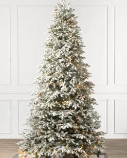 New BH Frosted Fraser Fir® Trees 7 - 7.5 Feet|Under 6 Feet