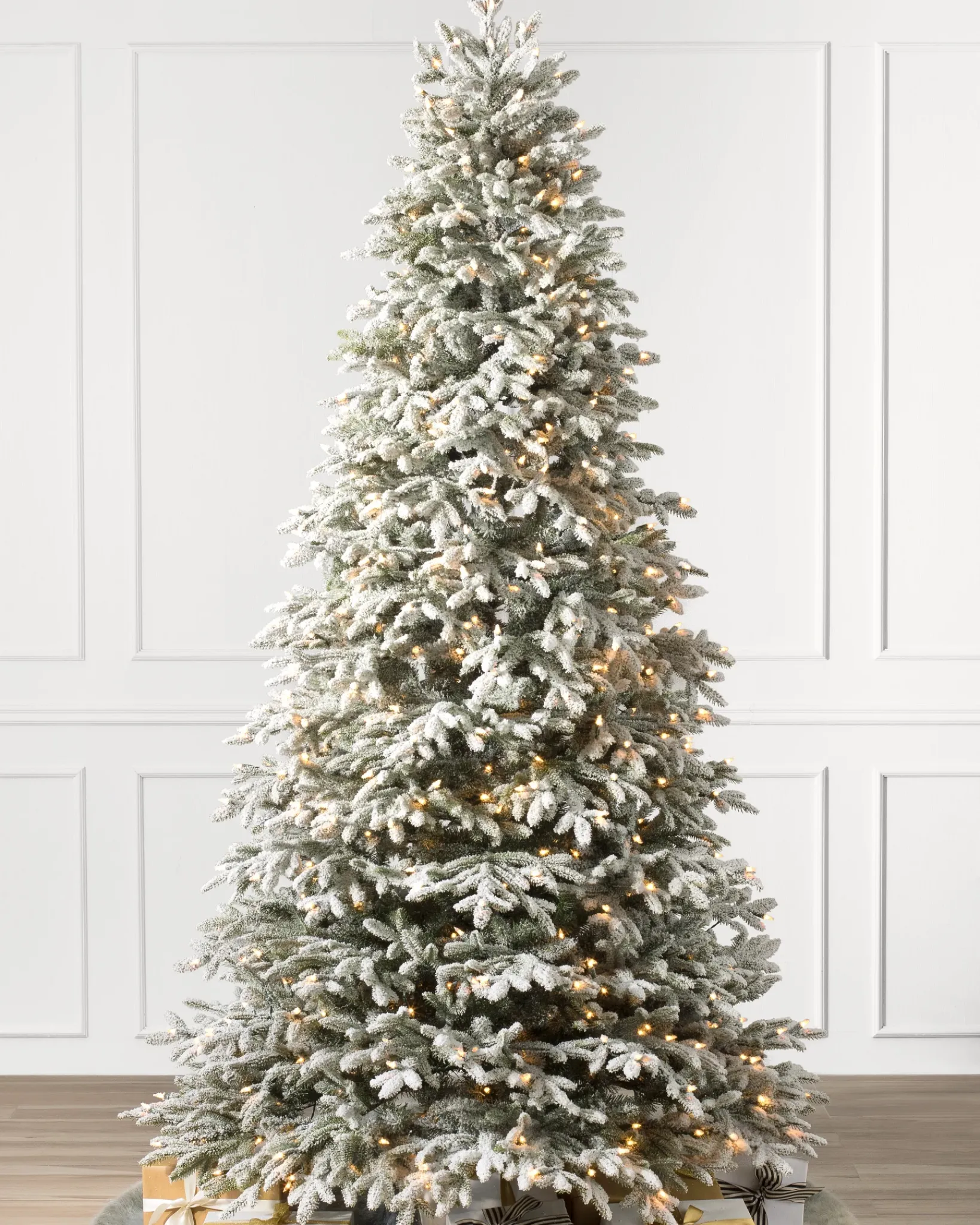 New BH Frosted Fraser Fir® Trees 7 - 7.5 Feet|Under 6 Feet