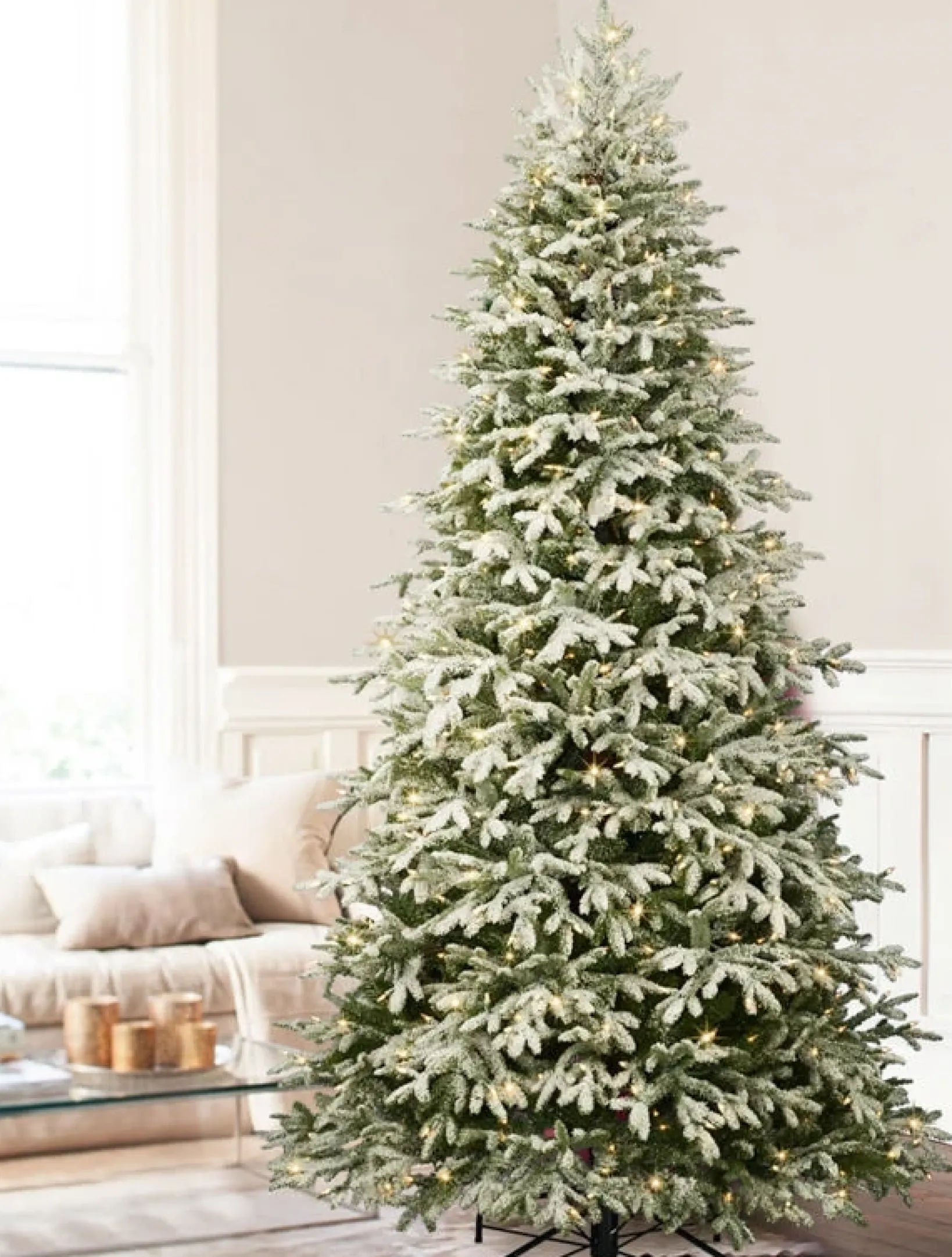 New BH Frosted Fraser Fir® Trees 7 - 7.5 Feet|Under 6 Feet