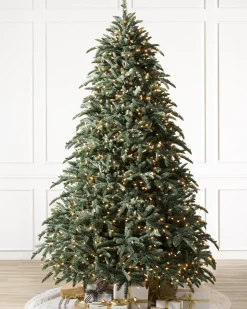 Online BH Noble Fir® ReNEW™ 7 - 7.5 Feet|8 - 9 Feet