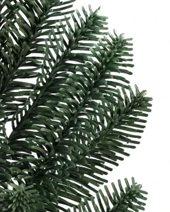 Online BH Noble Fir® ReNEW™ 7 - 7.5 Feet|8 - 9 Feet