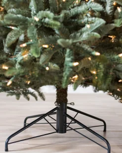 Online BH Noble Fir® ReNEW™ 7 - 7.5 Feet|8 - 9 Feet