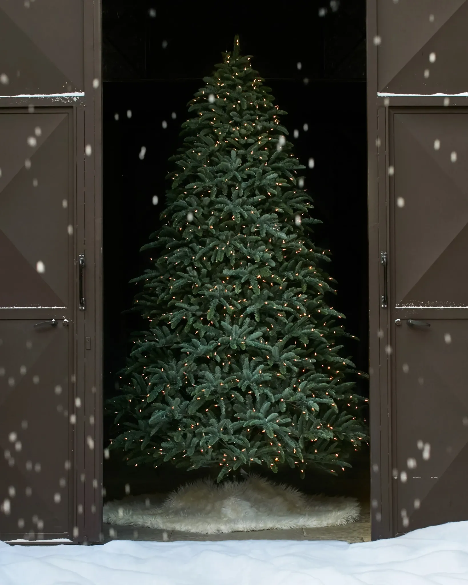 Online BH Noble Fir® ReNEW™ 7 - 7.5 Feet|8 - 9 Feet