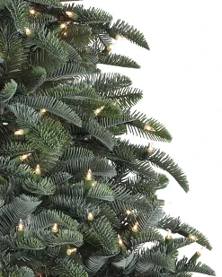 Hot BH Noble Fir® Trees 7 - 7.5 Feet|Pre-Lit