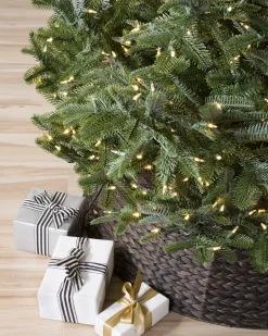Clearance BH Nordmann Fir Trees 7 - 7.5 Feet|6 - 6.5 Feet