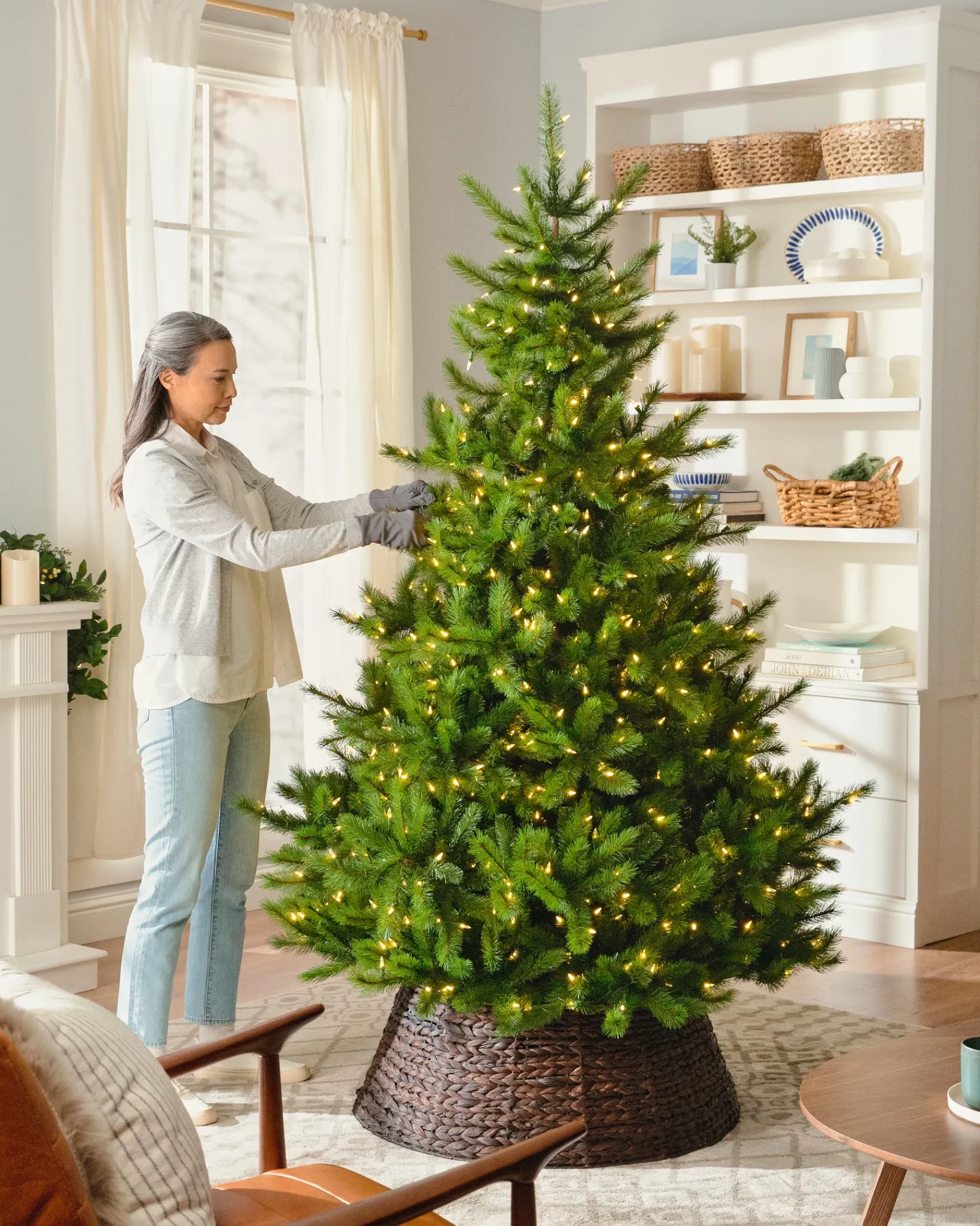 Clearance BH Nordmann Fir Trees 7 - 7.5 Feet|6 - 6.5 Feet