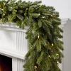 Discount BH Norway Spruce Foliage 30 - 42 Inch|5 - 7 Feet