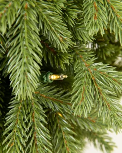 Discount BH Norway Spruce Foliage 30 - 42 Inch|5 - 7 Feet