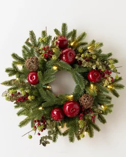 Hot BH Norway Spruce Holiday Foliage 18 - 24 Inch|Pre-Lit