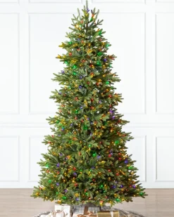 Online BH Norway Spruce Trees 7 - 7.5 Feet|Under 6 Feet