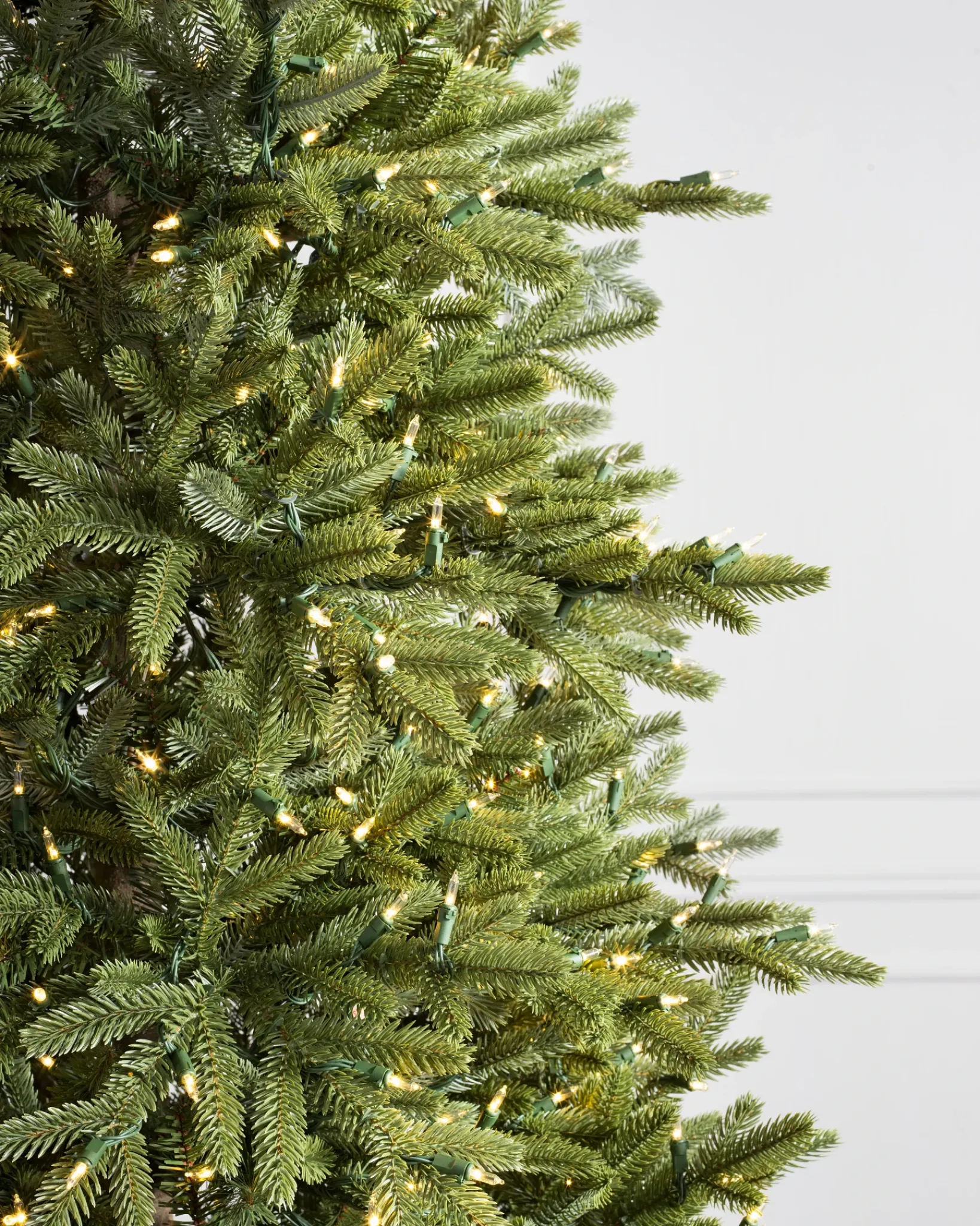Online BH Norway Spruce Trees 7 - 7.5 Feet|Under 6 Feet