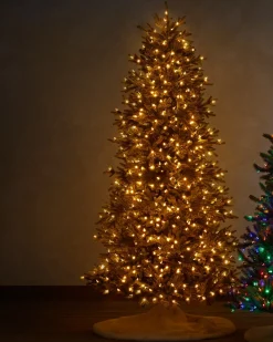 Online BH Norway Spruce Trees 7 - 7.5 Feet|Under 6 Feet