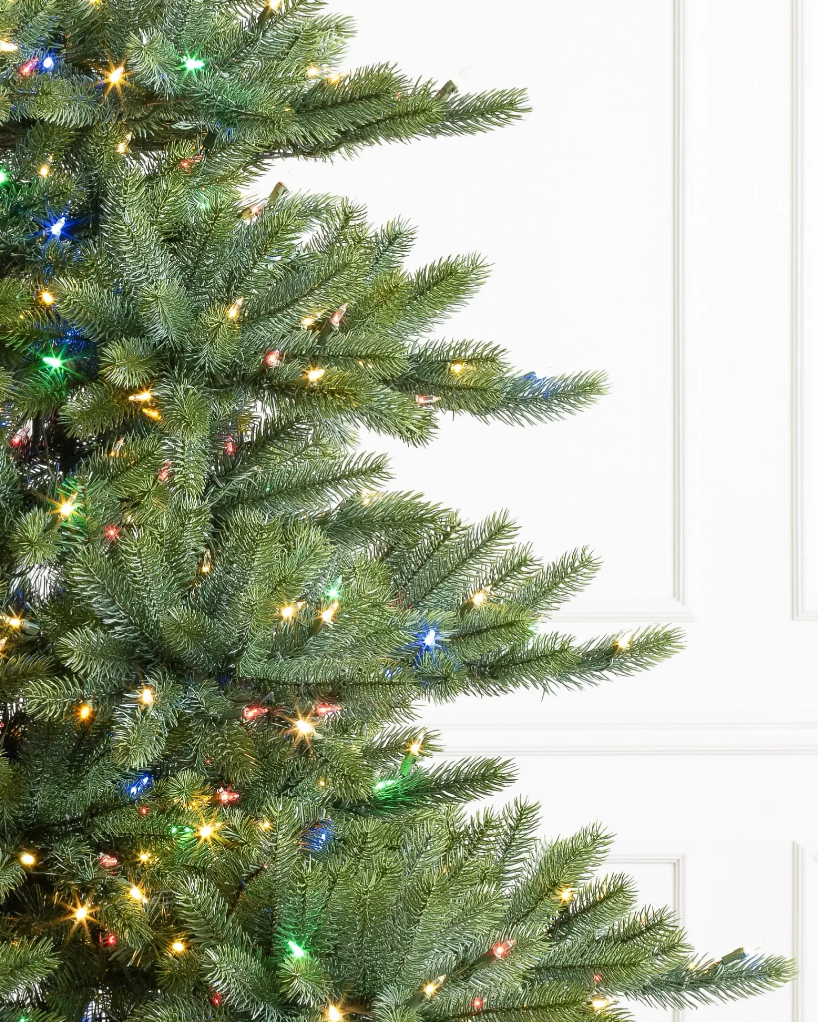 Best Biltmore® Spruce Trees 7 - 7.5 Feet|6 - 6.5 Feet