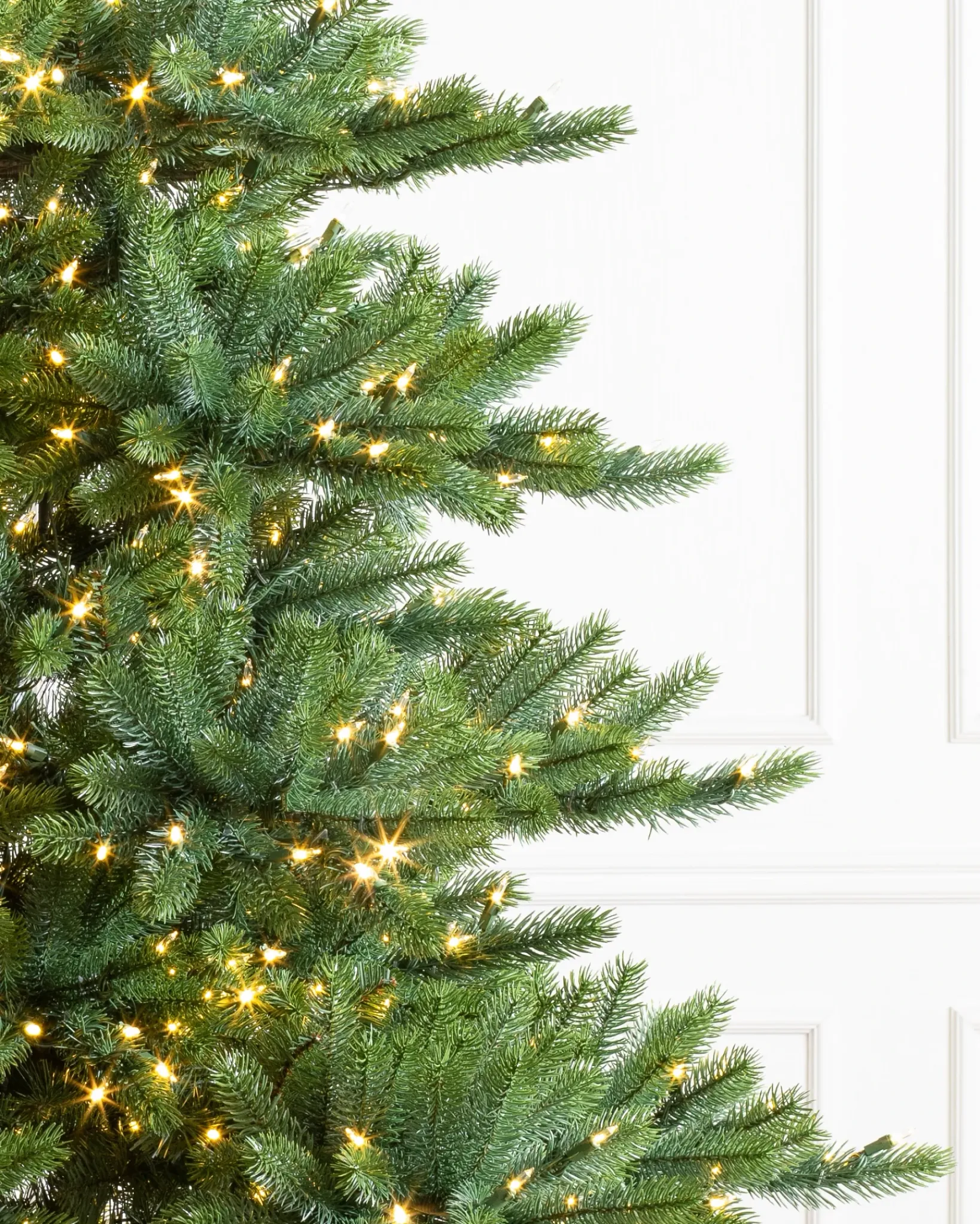 Best Biltmore® Spruce Trees 7 - 7.5 Feet|6 - 6.5 Feet