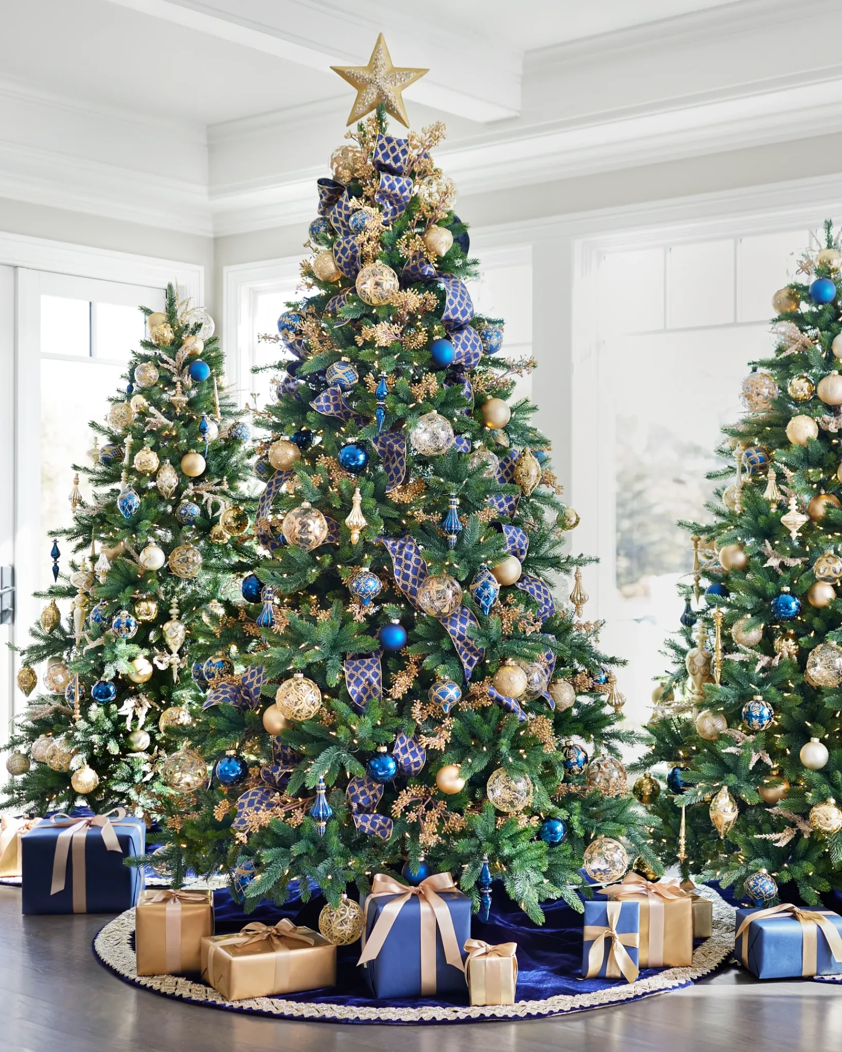 Best Biltmore® Spruce Trees 7 - 7.5 Feet|6 - 6.5 Feet