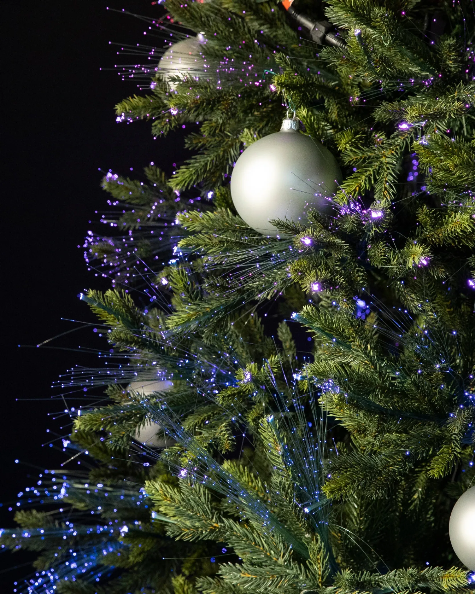 Outlet Broadway Fiber Optics Trees 7 - 7.5 Feet|6 - 6.5 Feet