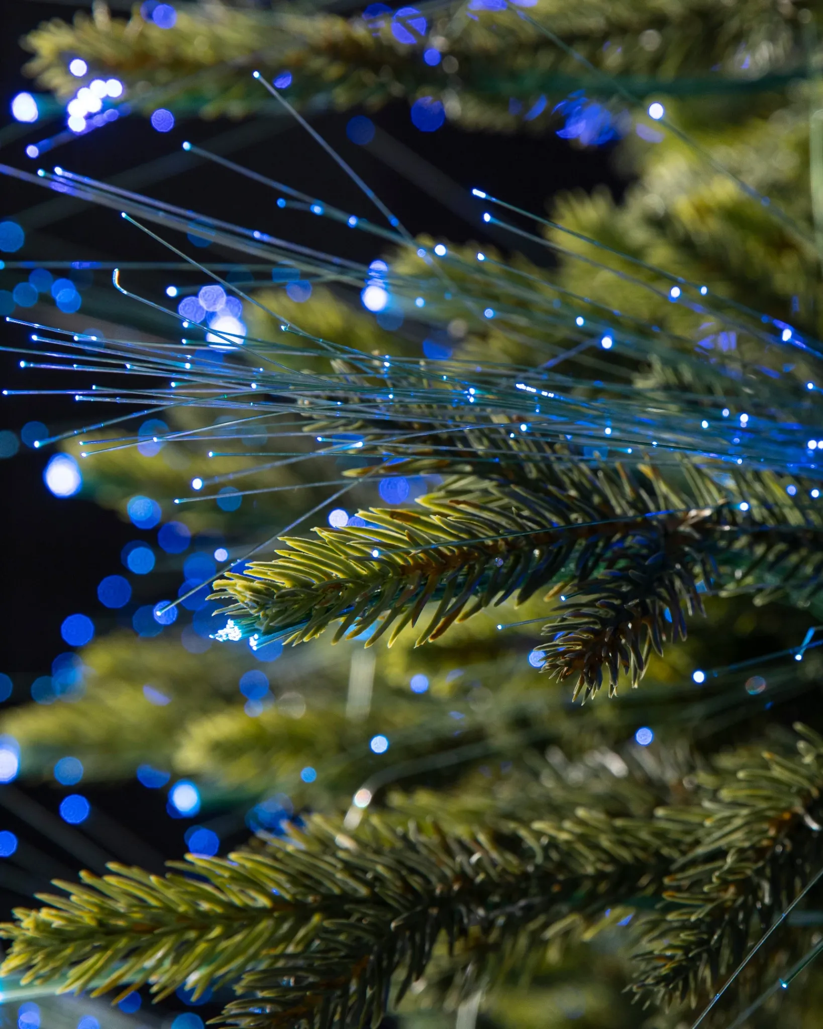Outlet Broadway Fiber Optics Trees 7 - 7.5 Feet|6 - 6.5 Feet