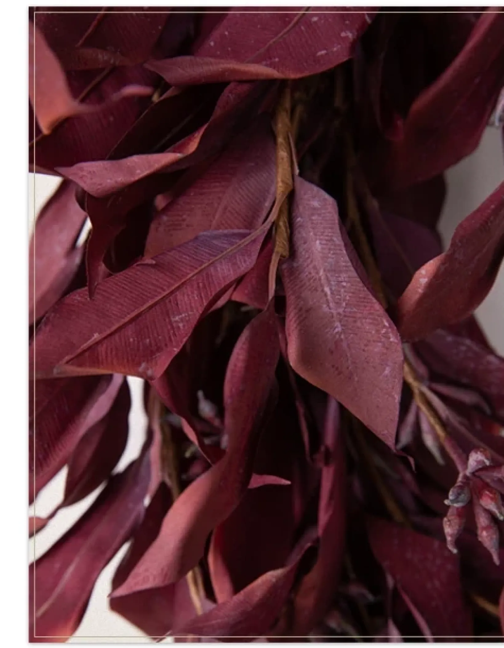 Clearance Burgundy Leaves Foliage Wreaths|Outdoor Safe