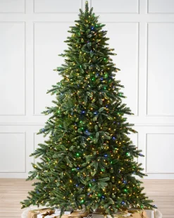 California Baby Redwood Trees 7 - 7.5 Feet|Pre-Lit
