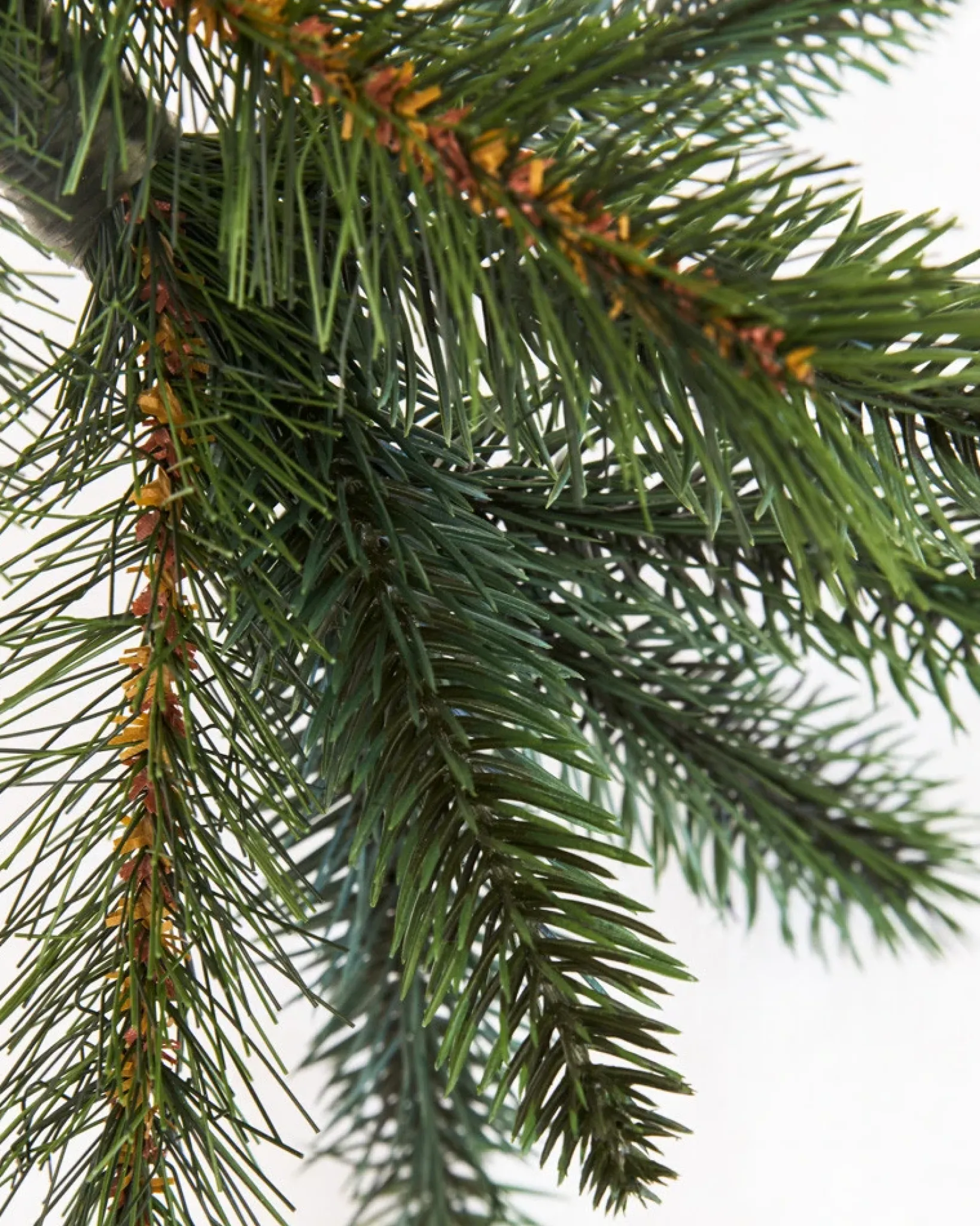 California Baby Redwood Trees 7 - 7.5 Feet|Pre-Lit