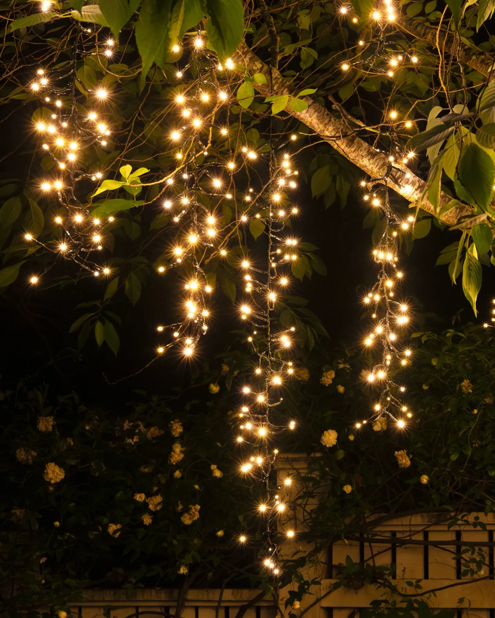 Cascading Tree Light Strings Lights|String Lighting & Lanterns