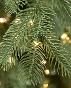 Clearance Cathedral Fir Trees 7 - 7.5 Feet|Pre-Lit