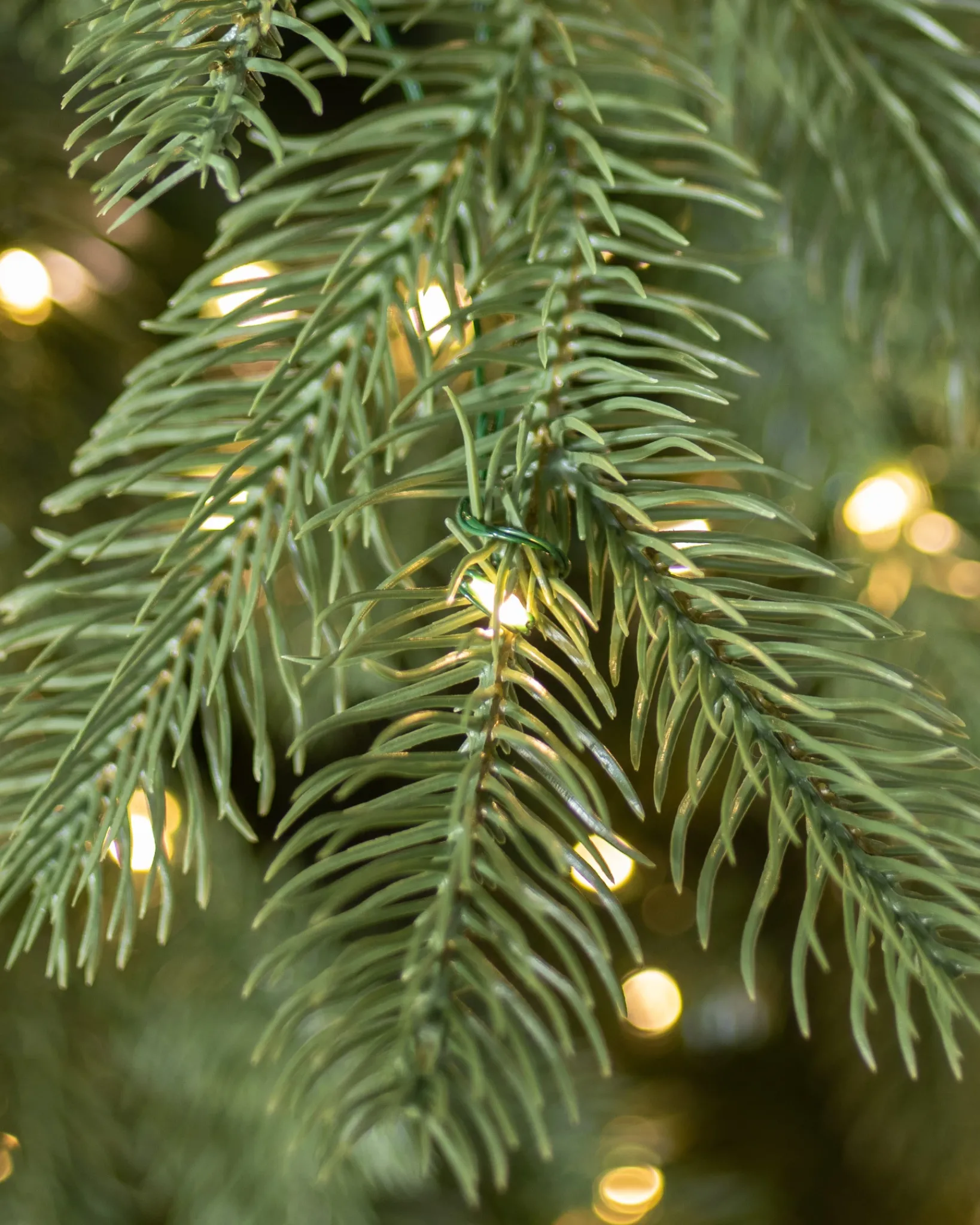 Clearance Cathedral Fir Trees 7 - 7.5 Feet|Pre-Lit