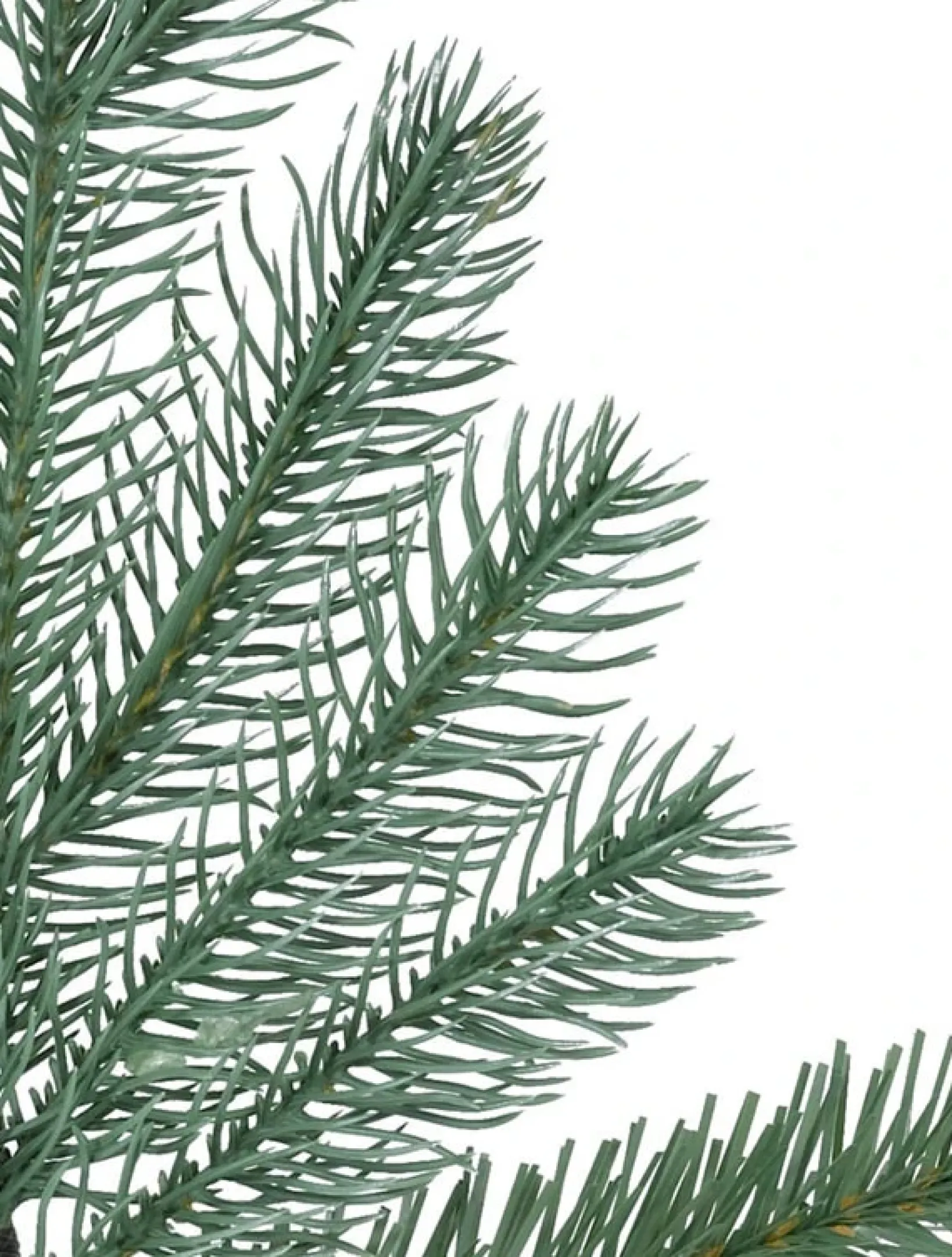 Clearance Cathedral Fir Trees 7 - 7.5 Feet|Pre-Lit