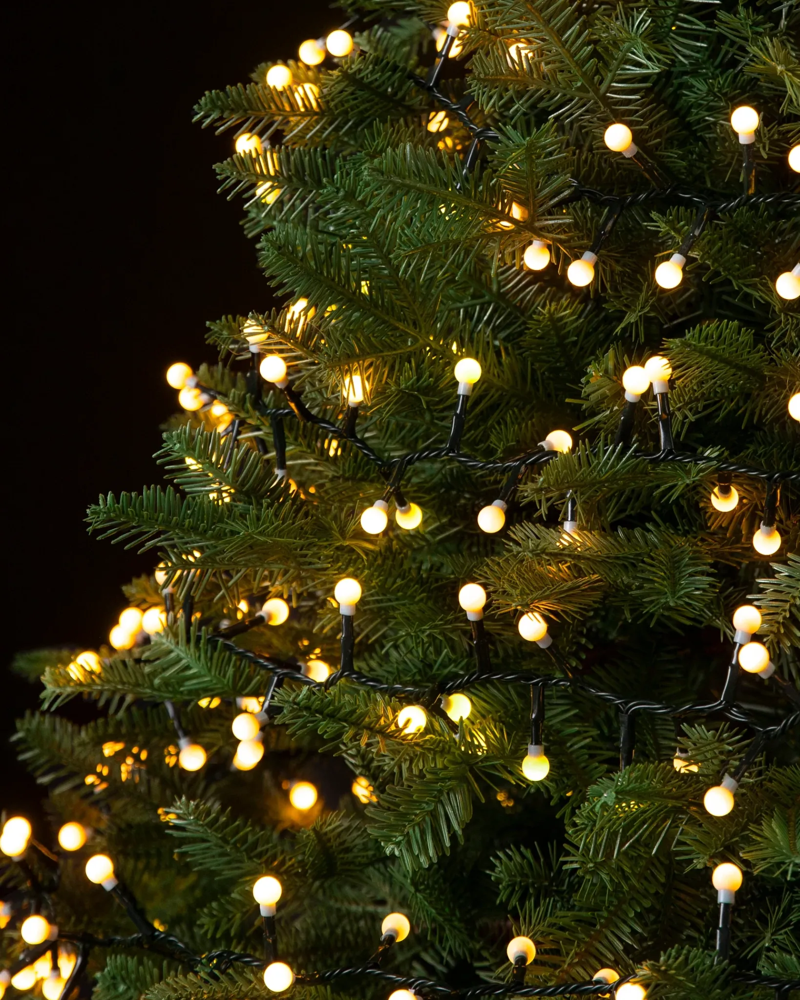 Cherry Light Strings Lights|String Lighting & Lanterns