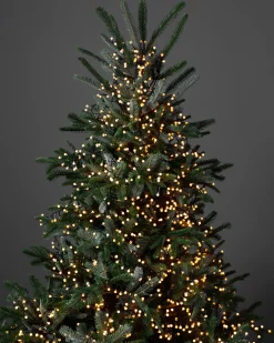 Cherry Light Strings Lights|String Lighting & Lanterns