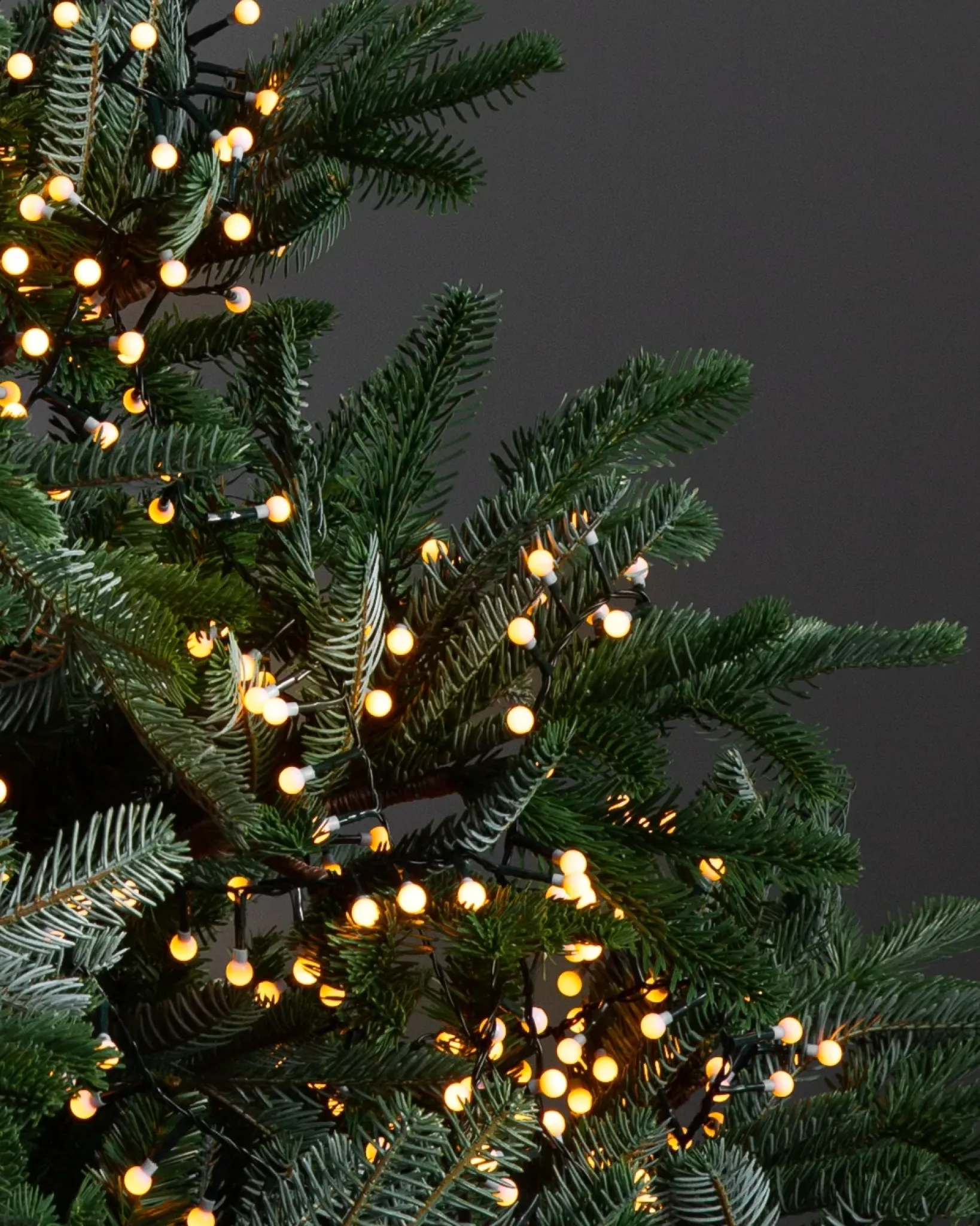 Cherry Light Strings Lights|String Lighting & Lanterns