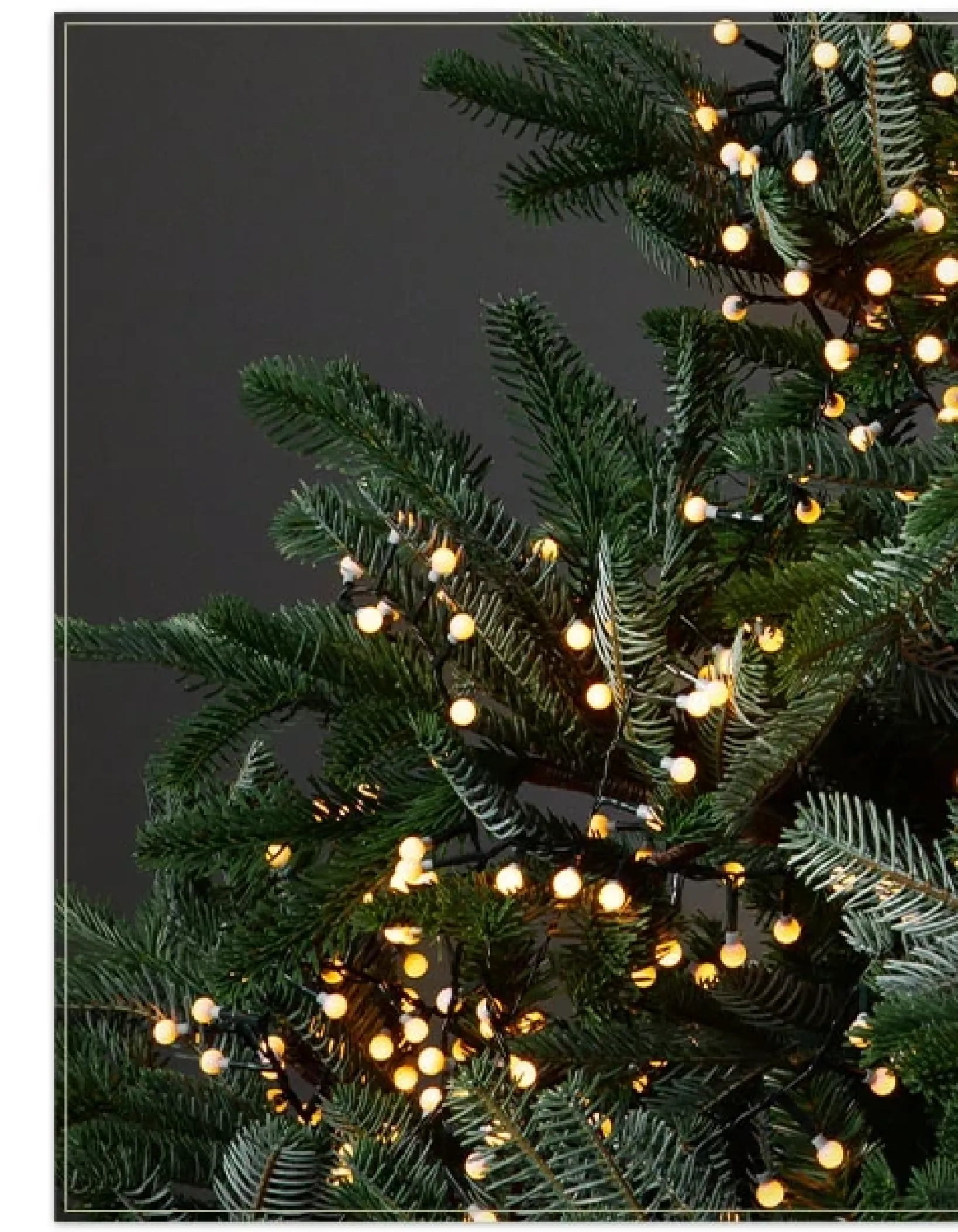 Cherry Light Strings Lights|String Lighting & Lanterns