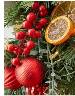 Citrus Spice Foliage Indoor|5 - 7 Feet