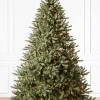 Outlet Classic Blue Spruce Trees 7 - 7.5 Feet|Under 6 Feet