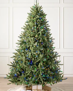 Outlet Classic Blue Spruce Trees 7 - 7.5 Feet|Under 6 Feet