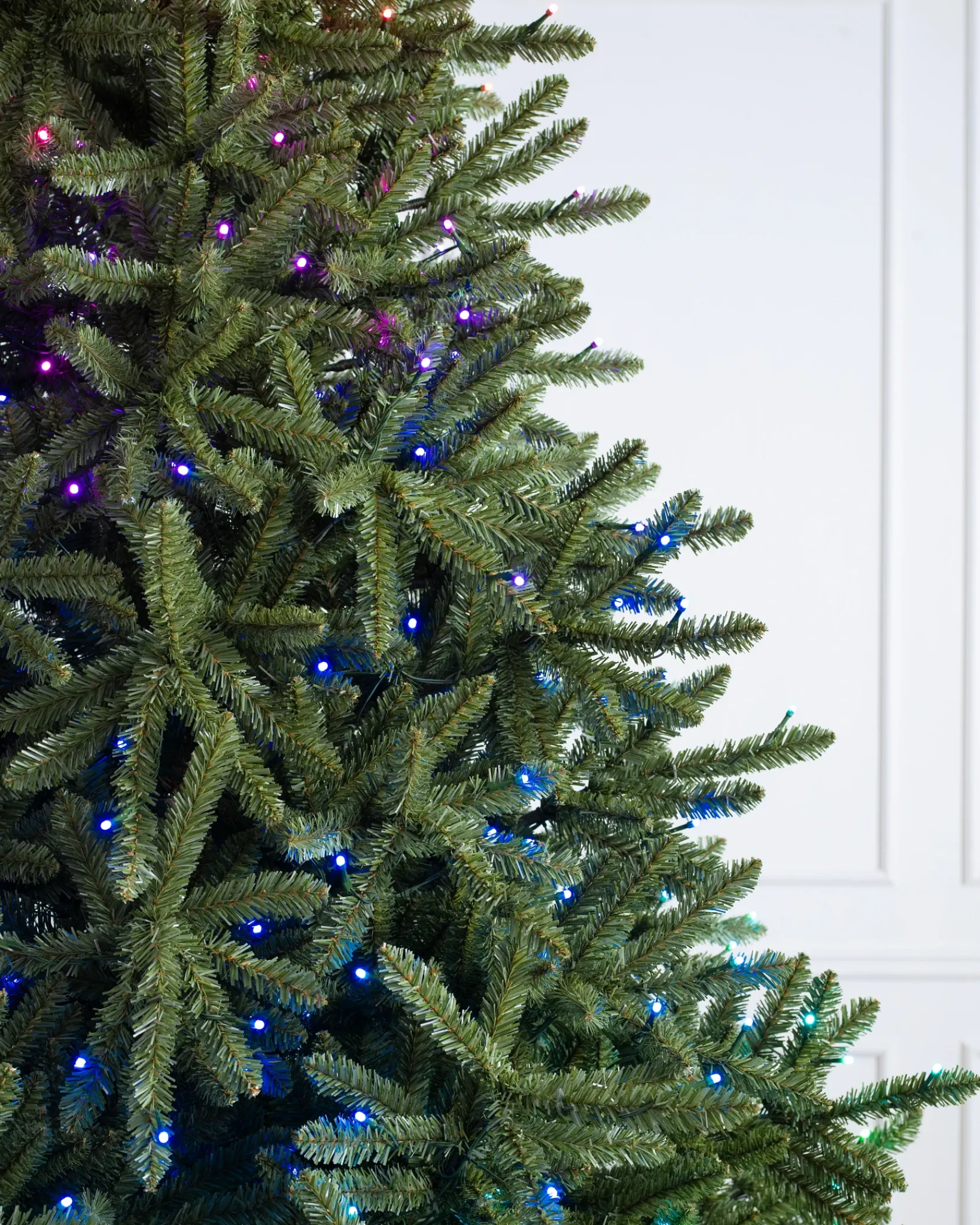 Outlet Classic Blue Spruce Trees 7 - 7.5 Feet|Under 6 Feet