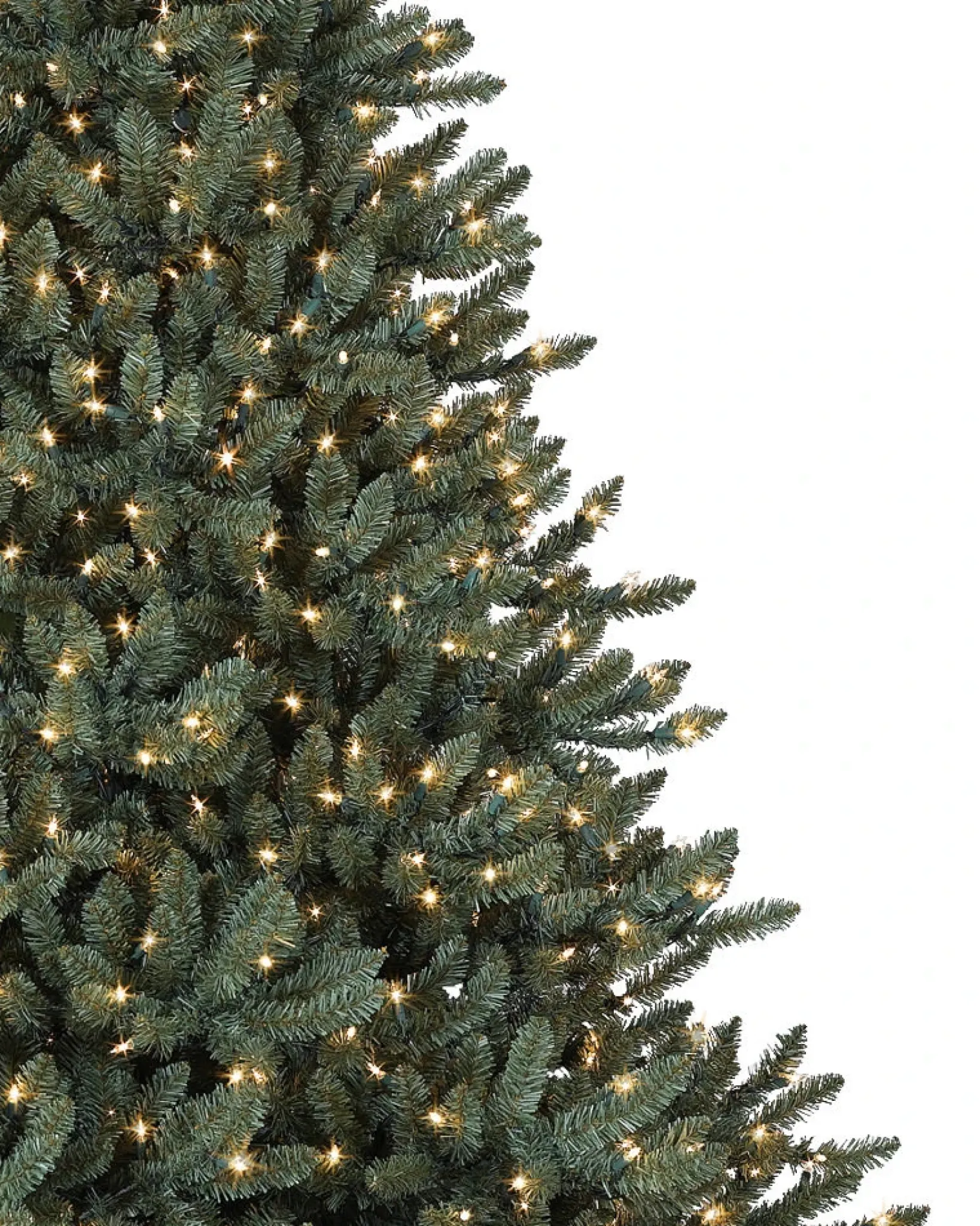 Outlet Classic Blue Spruce Trees 7 - 7.5 Feet|Under 6 Feet