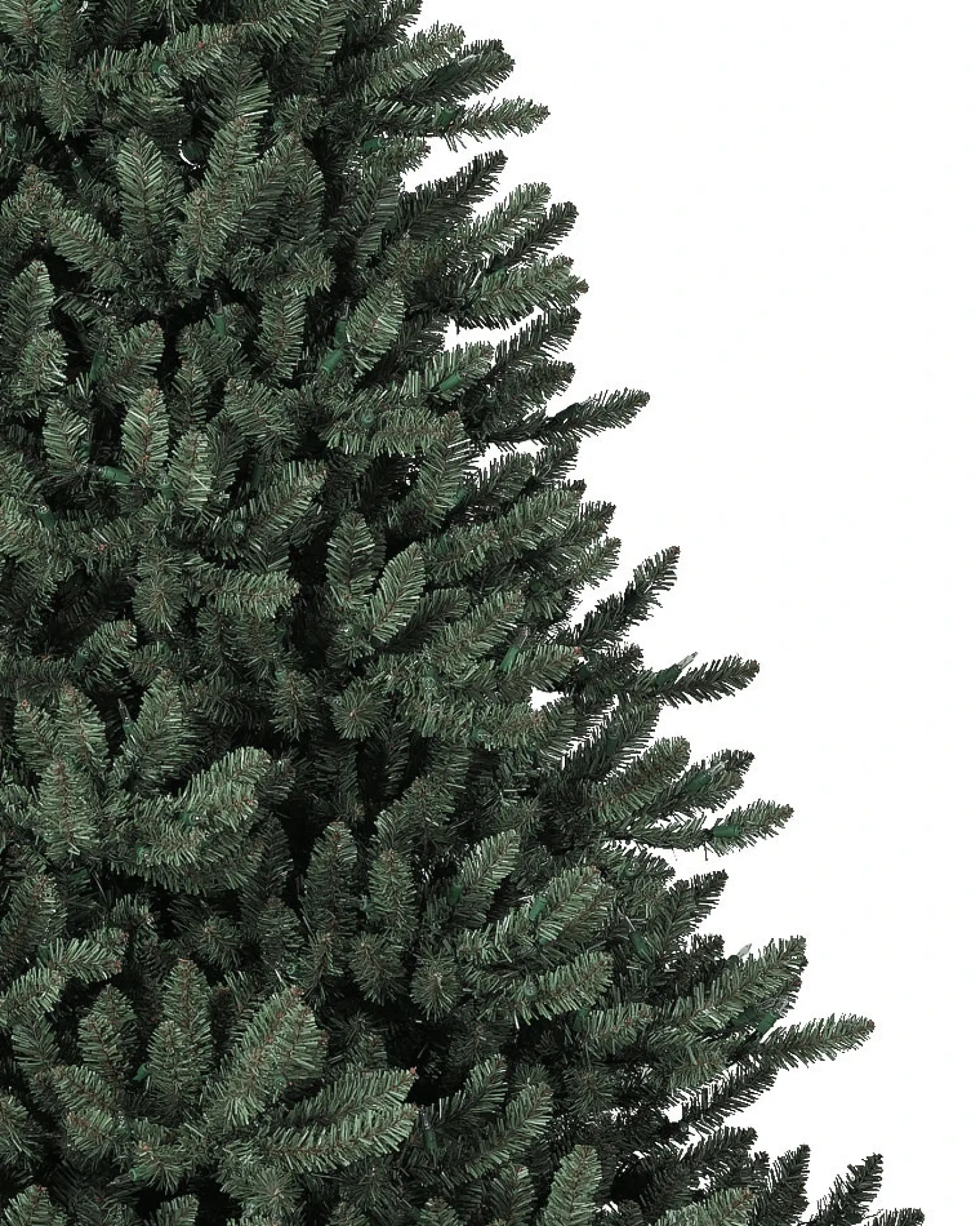 Outlet Classic Blue Spruce Trees 7 - 7.5 Feet|Under 6 Feet