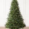 Hot Classic Evergreen Spruce Trees 7 - 7.5 Feet|6 - 6.5 Feet