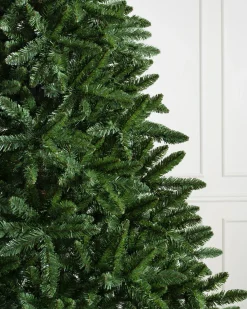 Hot Classic Evergreen Spruce Trees 7 - 7.5 Feet|6 - 6.5 Feet