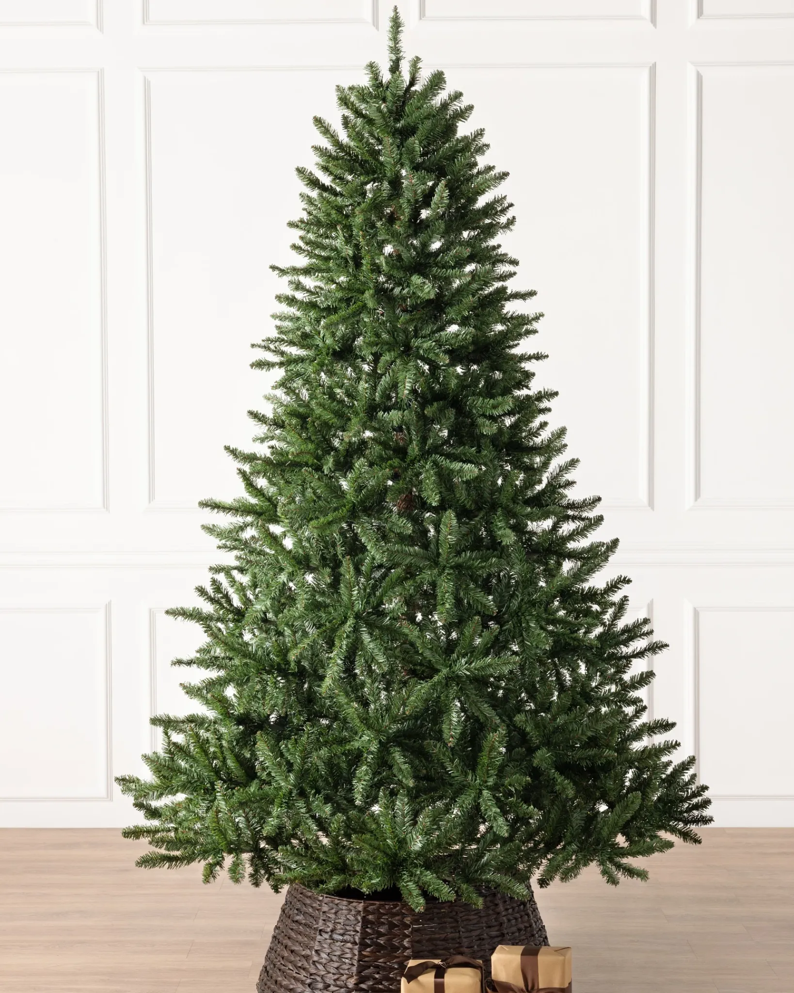 Hot Classic Evergreen Spruce Trees 7 - 7.5 Feet|6 - 6.5 Feet