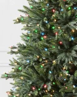 Sale Colorado Mountain Spruce® Trees 7 - 7.5 Feet|Pre-Lit