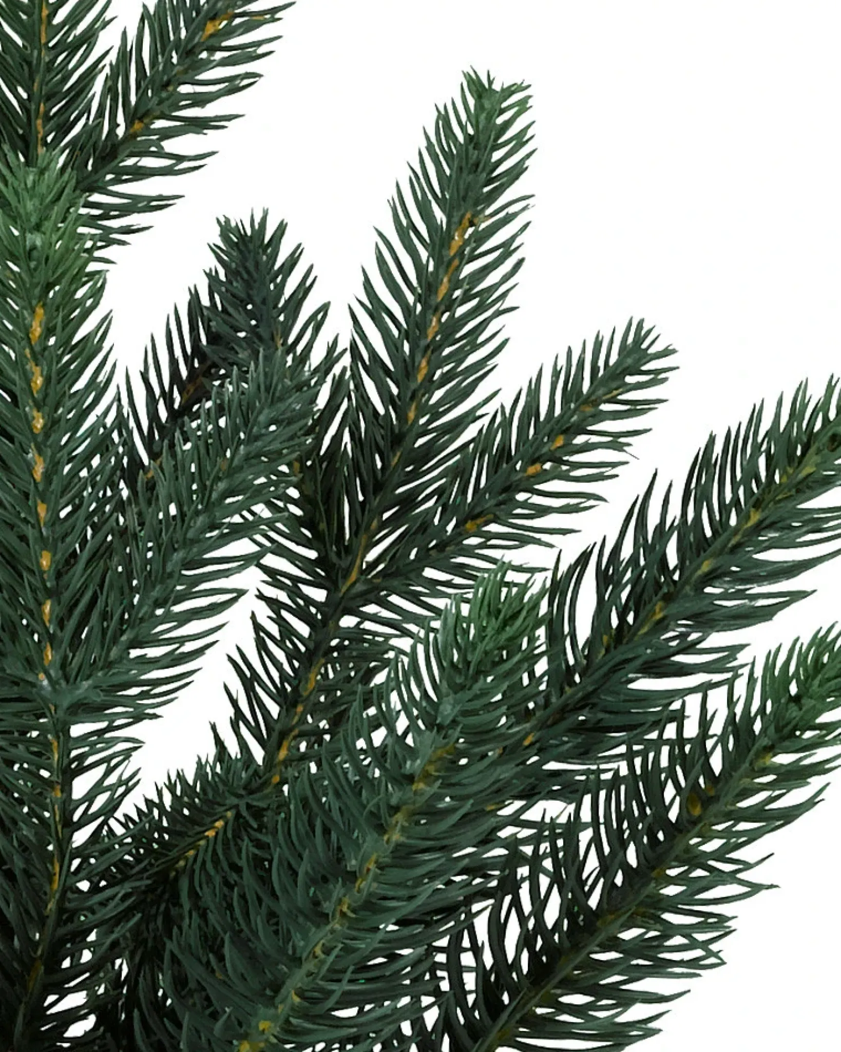 Sale Colorado Mountain Spruce® Trees 7 - 7.5 Feet|Pre-Lit