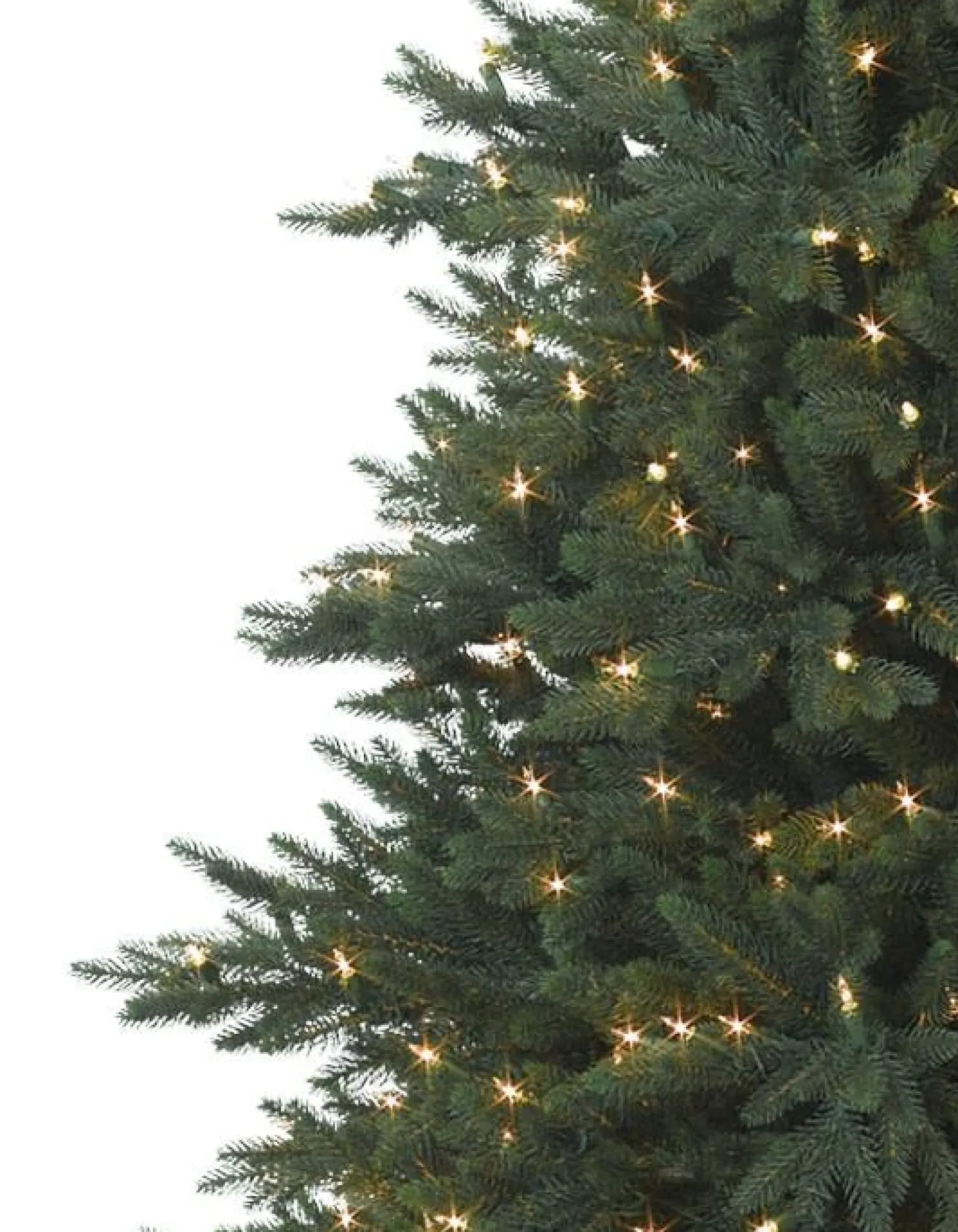 Sale Colorado Mountain Spruce® Trees 7 - 7.5 Feet|Pre-Lit