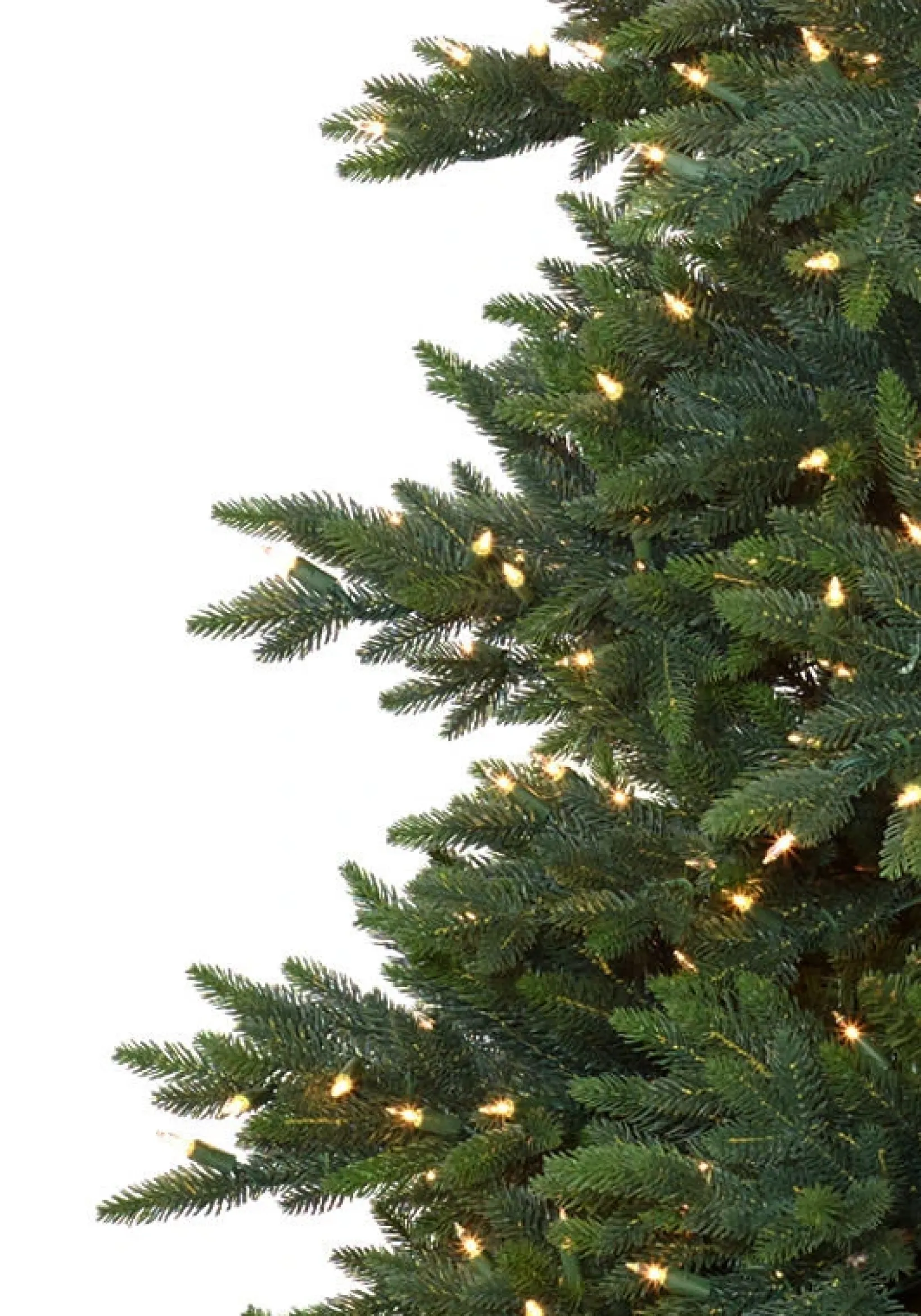 Sale Colorado Mountain Spruce® Trees 7 - 7.5 Feet|Pre-Lit