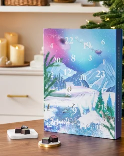 Discount Compartés Chocolate 24-Day Advent Calendar Holiday Gourmet Gifts|Advent Calendars