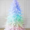 Hot Denali White® Trees 7 - 7.5 Feet|6 - 6.5 Feet