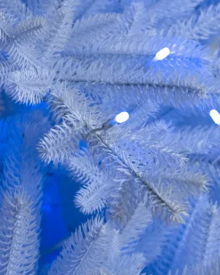 Hot Denali White® Trees 7 - 7.5 Feet|6 - 6.5 Feet